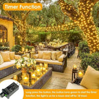 99FT 300 LED Fairy Lights with Remote, Plug in Twinkle Light Outdoor Indoor, alternate view 5