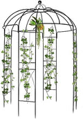 9ftx6.8ft Metal Birdcage Garden Arch Arbor