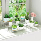 Acrylic Display Riser, 6 Pcs 9" Large Acrylic Risers, 2 Set Clear Rectangular Stands for Candy Dessert Cupcakes, alternate