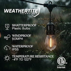 Ambience Pro 105Ft LED String Lights - 2W Commercial Grade Patio Lighting Outdoor Waterproof - Heavy Duty, alternate view 2