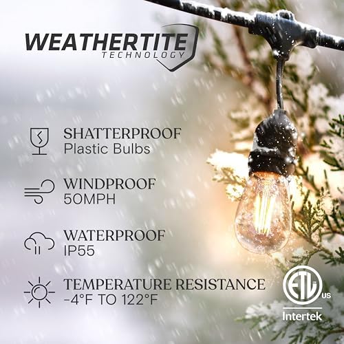 Ambience Pro - 24 Ft Waterproof LED Outdoor String Lights - Hanging, Dimmable 2w Vintage Edison Bulbs, alternate view 2