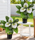 Anthurium Artificial Flowers with Pots, 2 Pack Fake Flowers Potted Faux Outdoor Plants, UV Resistant Realistic