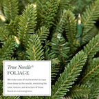 Artificial Christmas Garland for the Home | Traditional Holiday Decorations | Equipped with LED Clear Lights |, alternate