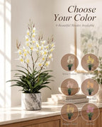 Artificial Dendrobium Orchid with Black Pot, White-Yellow Fake Orchid, Artificial Flowers for Entryway, Living, alternate