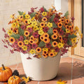 Artificial Fall Flowers for Outdoor Porch Decoration,12pcs Fake Mums