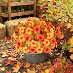 Artificial Fall Flowers for Outdoors, Faux Petunias Autumn Decoration, Fake Flowers Plants UV Resistant Look, alternate view