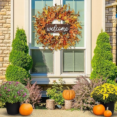 Artificial Fall Wreath - 18'' Autumn Front Door Wreath with Fall Leaves, Small Pumpkins, Cluster of Berries for, alternate