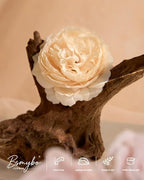 Artificial Flowers Combo Box Baby Pink Fake Rose Flower for Wedding Decor in Baby Pink, alternate view 6