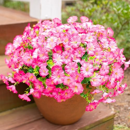 Artificial Flowers Fake Plants for Outdoors Decoration, 12 Bundles Pink Silk Morning Glory with Eucalyptus, alternate view 2