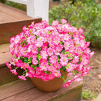 Artificial Flowers Fake Plants for Outdoors Decoration, 12 Bundles Pink Silk Morning Glory with Eucalyptus, alternate view 3