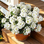 Artificial Flowers for Outdoors Spring Summer Decor 12 Bundles in White