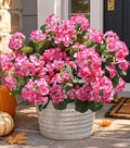 Artificial Geranium Fake Flowers for Outdoors Decoration, 6 Bundles Silk Geraniums Pink Flower UV Resistant Look