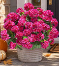 Artificial Geranium Fake Flowers for Outdoors Decoration, 6 Bundles Silk Geraniums Flower UV Resistant Look Real