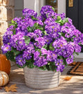 Artificial Geranium Fake Flowers for Outdoors Decoration, 6 Bundles Silk Geraniums Flower UV Resistant Look Real