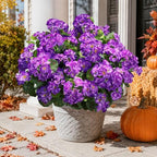 Artificial Geranium Fake Flowers for Outdoors Decoration, 6 Bundles Silk Geraniums Flower UV Resistant Look Real, alternate