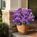 Artificial Geranium Fake Flowers for Outdoors Decoration, 6 Bundles Silk Geraniums Flower UV Resistant Look Real, alternate