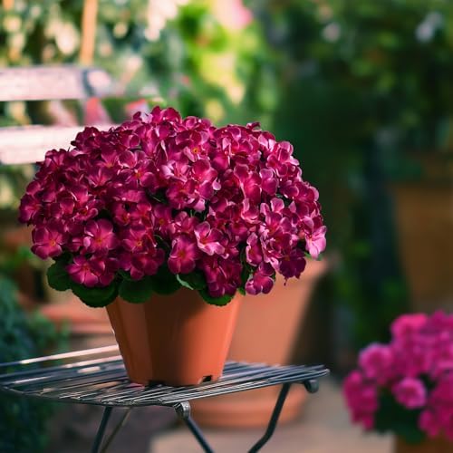 Artificial Geranium Flowers for Outdoor 10 Pcs Artificial Flower Fake Flowers with Stems Silk Realistic Look, alternate view