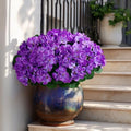 Artificial Geranium Flowers for Outdoor 10 Pcs Artificial Flower Fake Flowers with Stems Silk Realistic Look