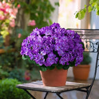 Artificial Geranium Flowers for Outdoor 10 Pcs Artificial Flower Fake Flowers with Stems Silk Realistic Look, alternate view