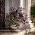 Artificial Geranium Flowers for Outdoor 2 Pcs Artificial Purple Flower Fake Flowers with Stems Silk Realistic