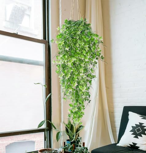 Artificial Hanging Plant Faux Ivy Vine with White UV Resistant Leaf, alternate view 5