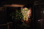 Artificial Hanging Plants with Lights Fake Hanging Spring Flowers, alternate view 6