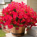 Artificial Morning Glory Flowers with Eucalyptus - 16 Bundles UV Resistant Rose Red Faux Silk Plastic Fake