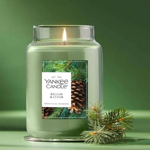 Balsam & Cedar, Scented Candle, 22oz Large Jar with up to 150 Hour Burn Time, Giftable (Pack of 4), alternate view 4