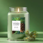 Balsam & Cedar, Scented Candle, 22oz Large Jar with up to 150 Hour Burn Time, Giftable (Pack of 4), alternate view 4