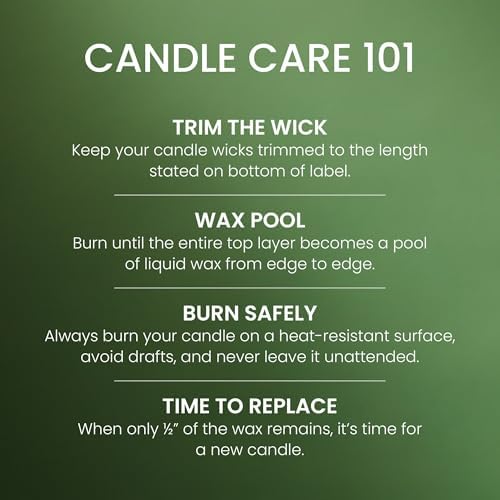 Balsam & Cedar, Scented Candle, 22oz Large Jar with up to 150 Hour Burn Time, Giftable (Pack of 4), alternate view 5