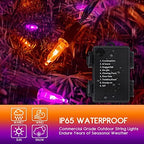 Battery Halloween Lights 2 Pack 17ft 100 LED Mini String Lights in Orange Purple, alternate view 5