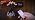 Battery Outdoor Halloween Lights, 2 Pack 50 LED in Orange Purple & Warm White, alternate view 7