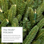BH Balsam Fir Christmas Wreath - Premium True Needle Front Door Wreath with LED Clear Lights Available in 26", alternate view