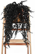 Black Artificial Hanging Gothic Plant 31.5" Fake Fall Greenery Vine