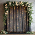 Black Tulle Backdrop Curtain with Lights for Decor, 10x8FT in 10x8FT