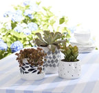 Blue Bay 3-Piece Canister Set with Lid, for Kitchen Counter in 3 Count in White/Blue, alternate view 6