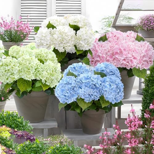 Blue Hydrangea Artificial Flowers, Latex Real Touch, alternate view 4