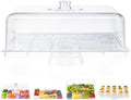 Cake Stand with Lid-Large 17" Rectangular Cake Holder, Acrylic BPA Free in 1