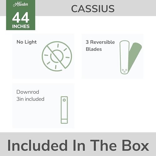 Cassius, Outdoor or Indoor, Ceiling Fan, 44 inch, Fresh White in Fresh White, alternate view 3