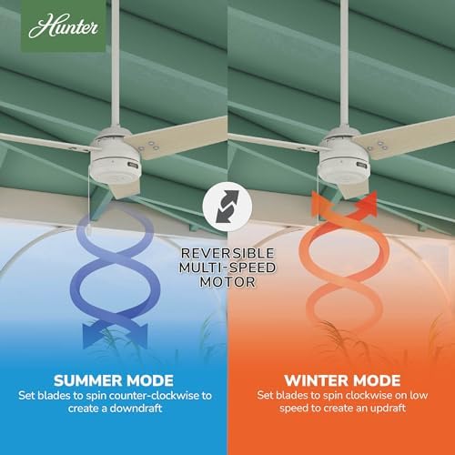 Cassius, Outdoor or Indoor, Ceiling Fan, 44 inch, Fresh White in Fresh White, alternate view 5