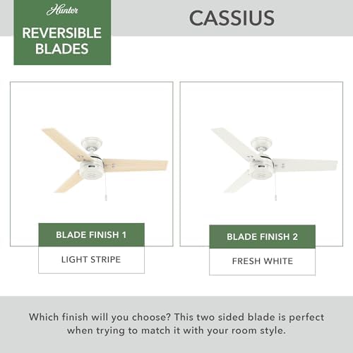 Cassius, Outdoor or Indoor, Ceiling Fan, 44 inch, Fresh White in Fresh White, alternate view 6
