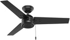 Cassius, Outdoor or Indoor, Ceiling Fan, 44 inch, Matte Black in Matte Black