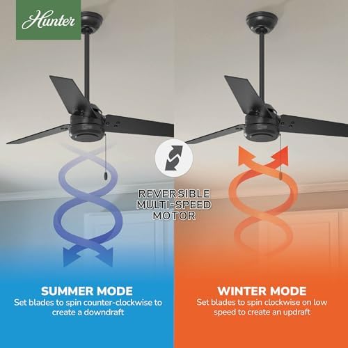 Cassius, Outdoor or Indoor, Ceiling Fan, 44 inch, Matte Black in Matte Black, alternate view 4