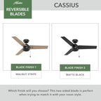 Cassius, Outdoor or Indoor, Ceiling Fan, 44 inch, Matte Black in Matte Black, alternate view 5