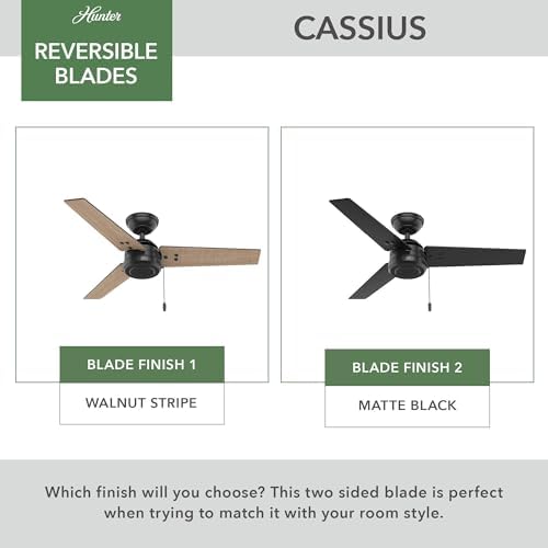Cassius, Outdoor or Indoor, Ceiling Fan, 44 inch, Matte Black in Matte Black, alternate view 5