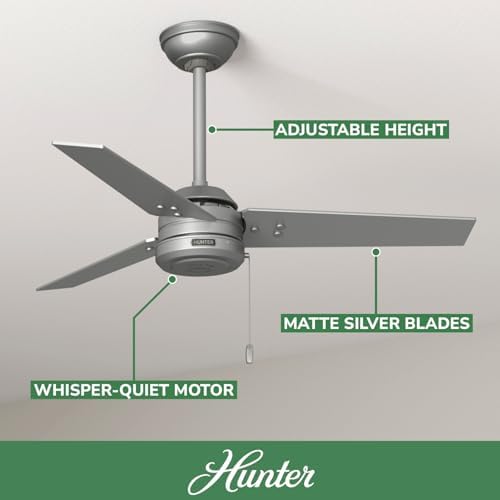 Cassius, Outdoor or Indoor, Ceiling Fan, 44 inch, Matte Silver in Matte Silver, alternate view 2