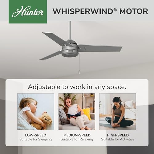 Cassius, Outdoor or Indoor, Ceiling Fan, 44 inch, Matte Silver in Matte Silver, alternate view 5