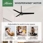 Cassius, Outdoor or Indoor, Ceiling Fan, 52 inch, Matte Black in Matte Black, alternate view 2