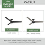 Cassius, Outdoor or Indoor, Ceiling Fan, 52 inch, Matte Black in Matte Black, alternate view 5