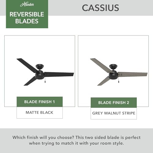 Cassius, Outdoor or Indoor, Ceiling Fan, 52 inch, Matte Black in Matte Black, alternate view 5